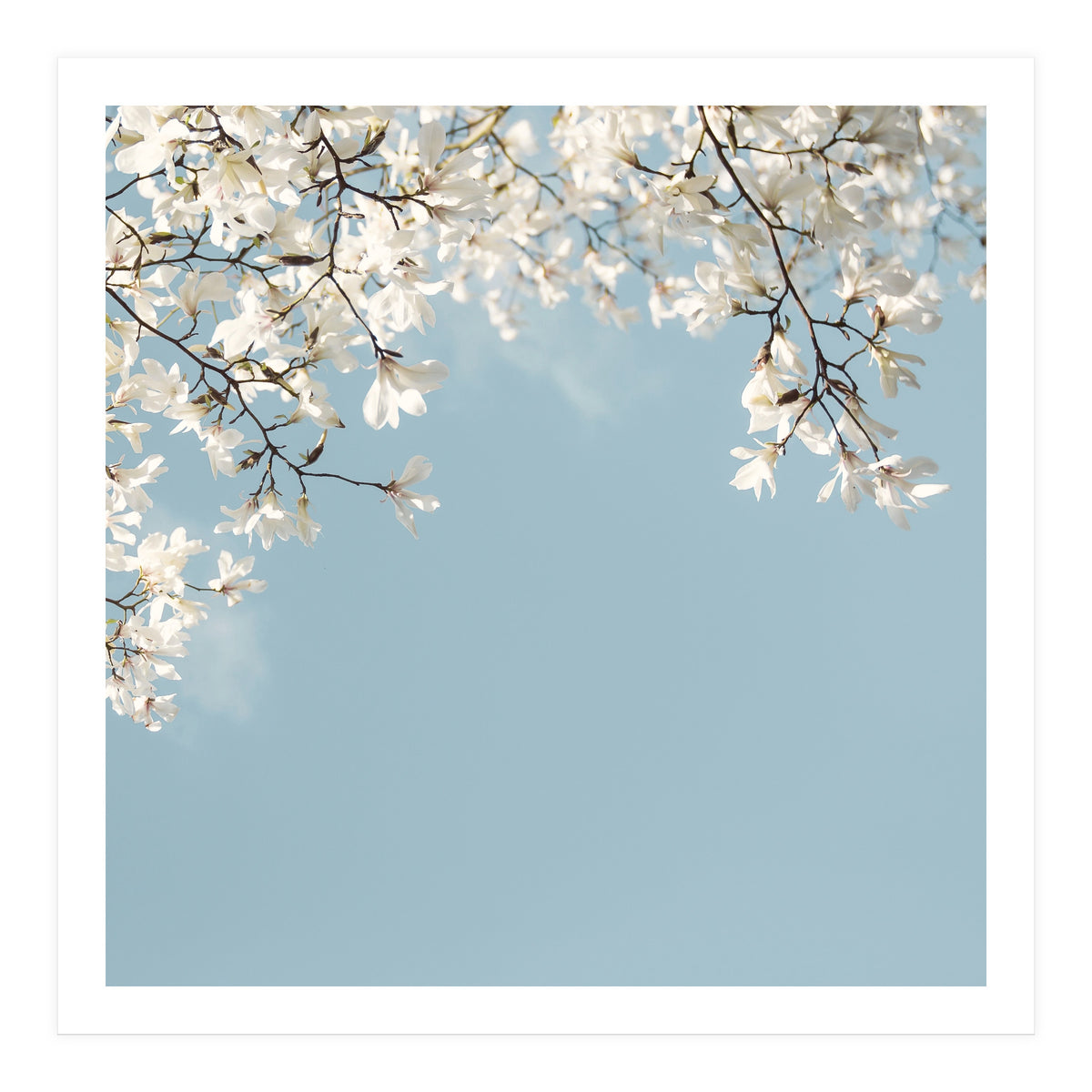 Symphony Blues (Print Only)