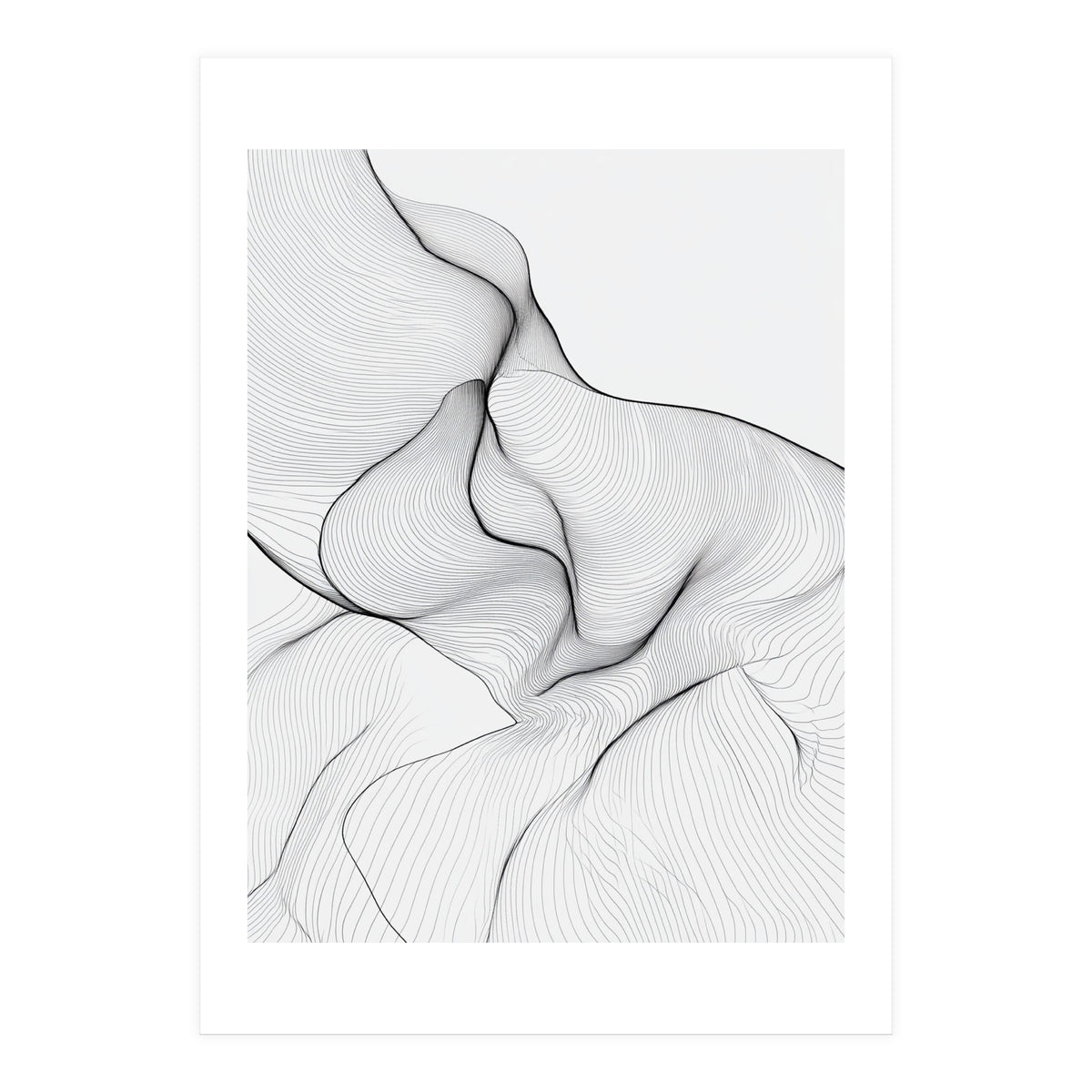 Abstract Black And White Flowing Lines Organic Form (Print Only)