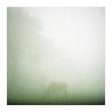 Silence of breath - 09 (Print Only) thumbnail