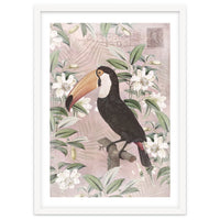 Exotic Bird Toucan