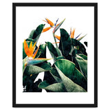 Paradise Bird, Nature Botanical Plant Floral, Tropical Garden Watercolor Painting thumbnail