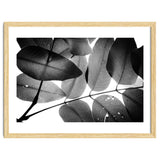 Branches and Leaves, 2016, 3 thumbnail
