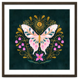 Butterfly And Sun thumbnail