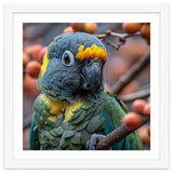 Yellow Headed Amazon Parrot Close Up Portrait thumbnail