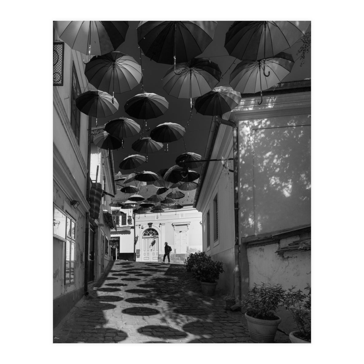 Under umbrellas (Print Only)