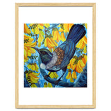 Kowhai thumbnail