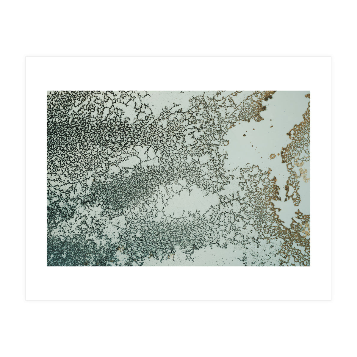 Synchronize (Print Only)