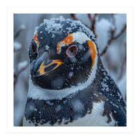 Penguin In Snow Falling Close Up Portrait (Print Only)