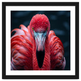 Close Up Flamingo Face With Water Droplets thumbnail