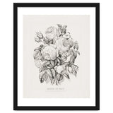 Currier & Ives – Rose of May (1870) thumbnail