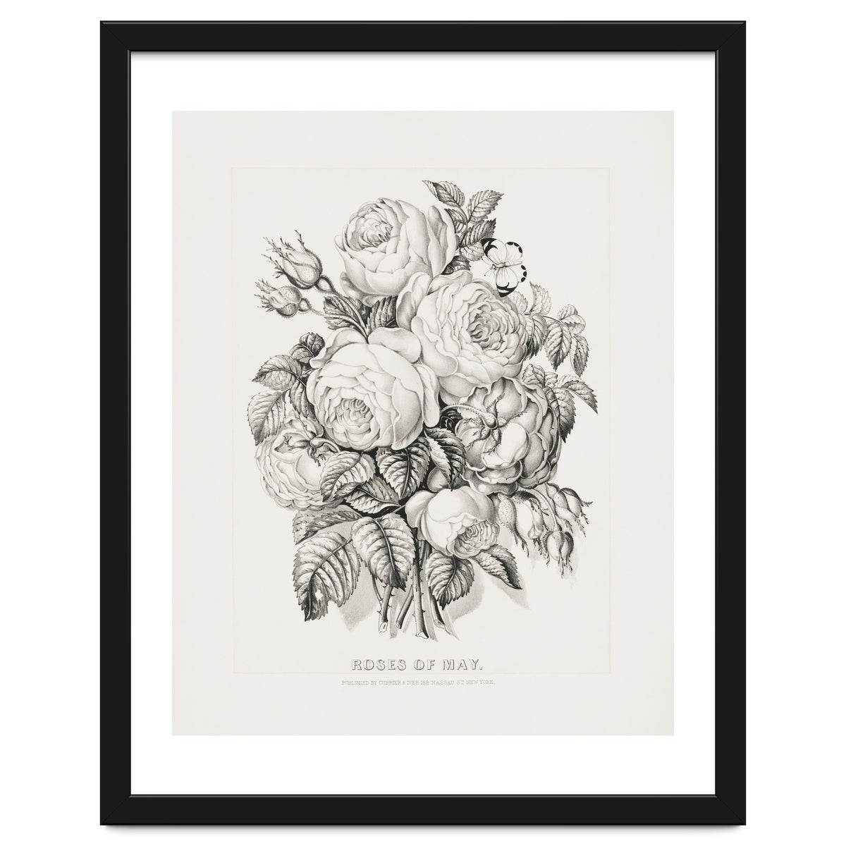 Currier & Ives – Rose of May (1870)