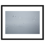 Flying seagulls in the winter sky thumbnail