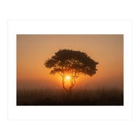Tree at sunrise (Print Only)