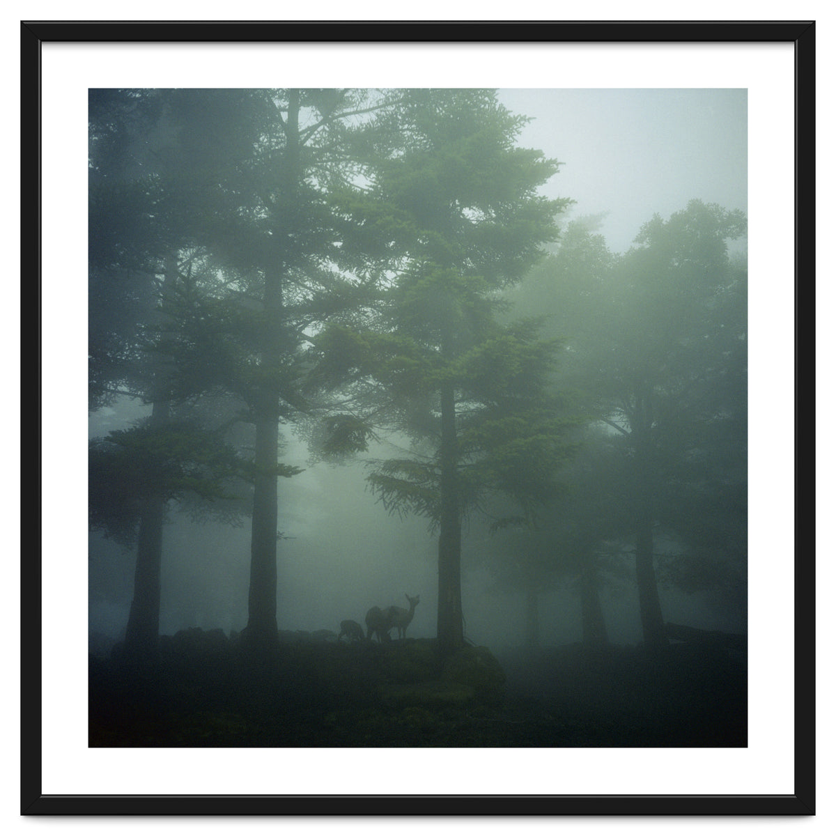 Silence of breath - 10