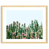 Blush Cactus #society6 #decor #buyart thumbnail