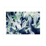 Cactus Garden (Print Only) thumbnail