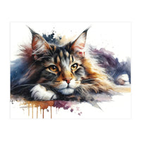 Maine Coon Resting Portrait (Print Only)