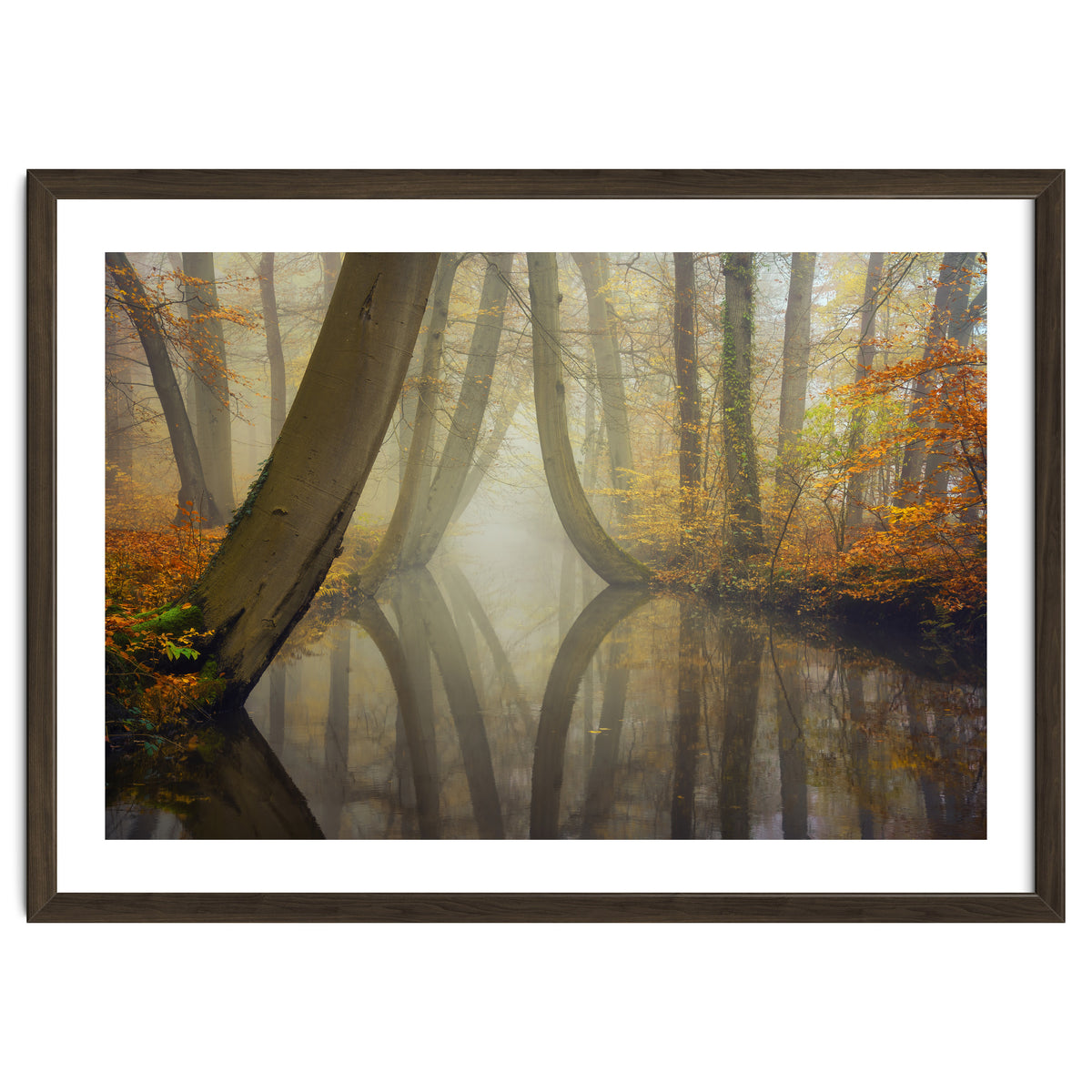 Bent trees in autumn