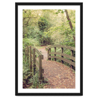 Path To The Bridge