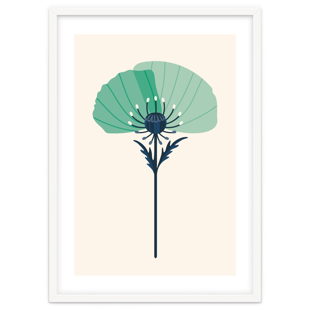 Teal Half Poppy