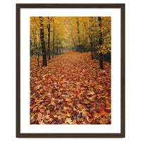 Ethereal Autumn Forest Path