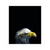 What It A Dream (Print Only) thumbnail