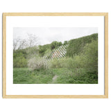 Green grass wall thumbnail
