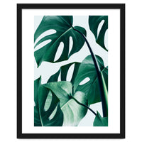 Monstera Tropical Photography Digital Art, Minimal Nature Jungle Botanical Leaves