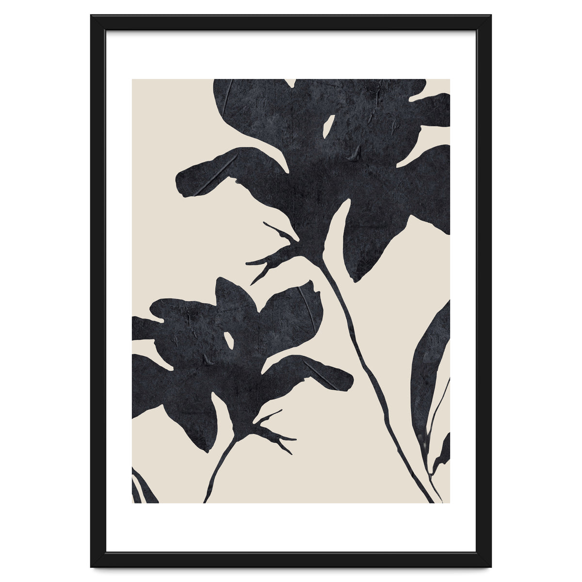 Shadowed Blooms