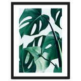Monstera Tropical Photography Digital Art, Minimal Nature Jungle Botanical Leaves thumbnail