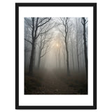 Ethereal Morning Light Breaking Through Dense Forest Fog thumbnail
