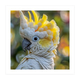 Yellow Crested Cockatoo Bird Close Up Portrait (Print Only) thumbnail