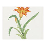 Hime Kuwanso – March (c. 1870–1880) (Print Only) thumbnail
