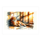 Cat Relaxing In Sunlight (Print Only) thumbnail