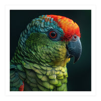 Close Up Colorful Parrot Bird Feather (Print Only)