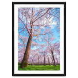 Spring in optima forma thumbnail