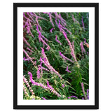 Lavender Flowers thumbnail