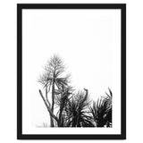 Miminalist Palm thumbnail