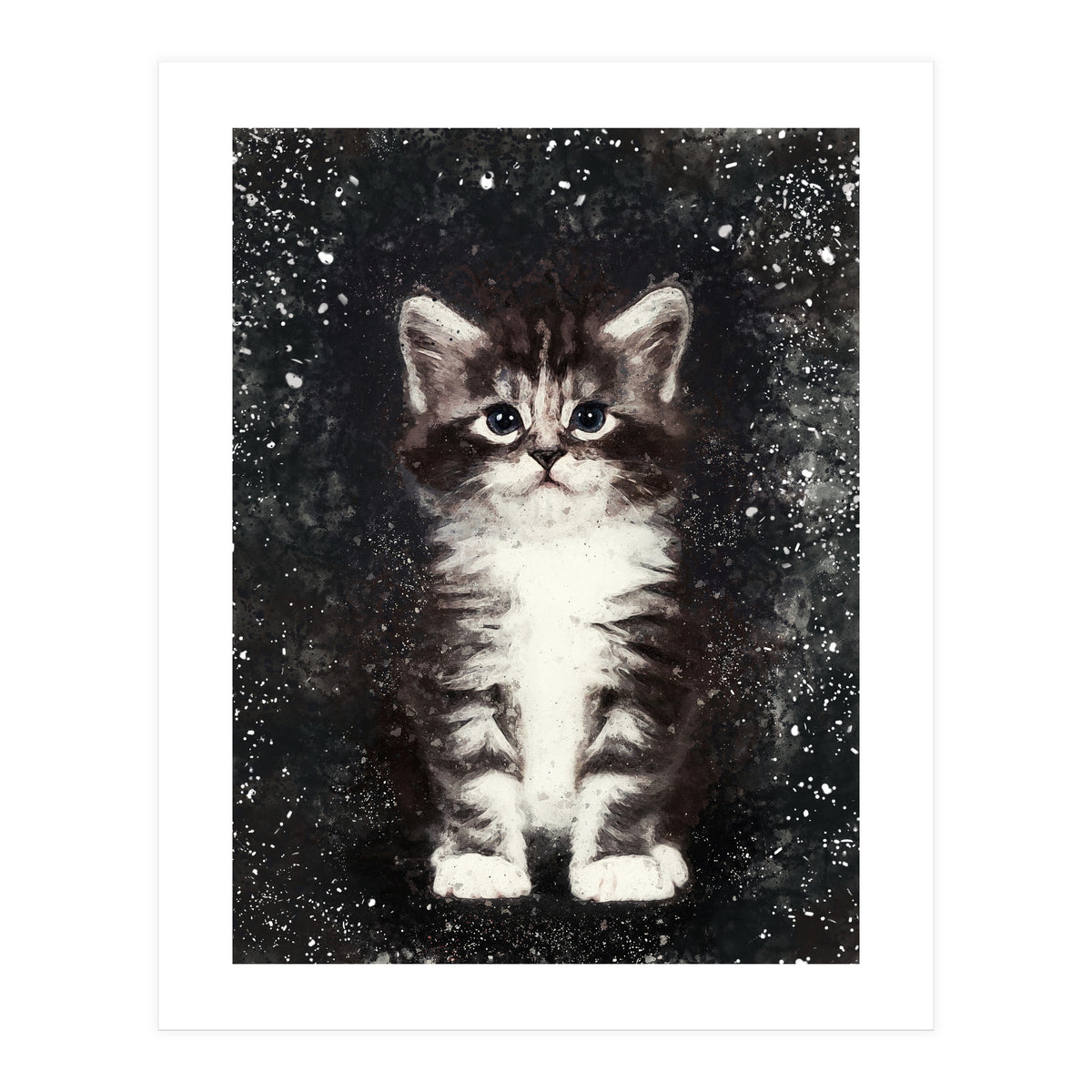 Bicolor Cute Kitten Portrait (Print Only)