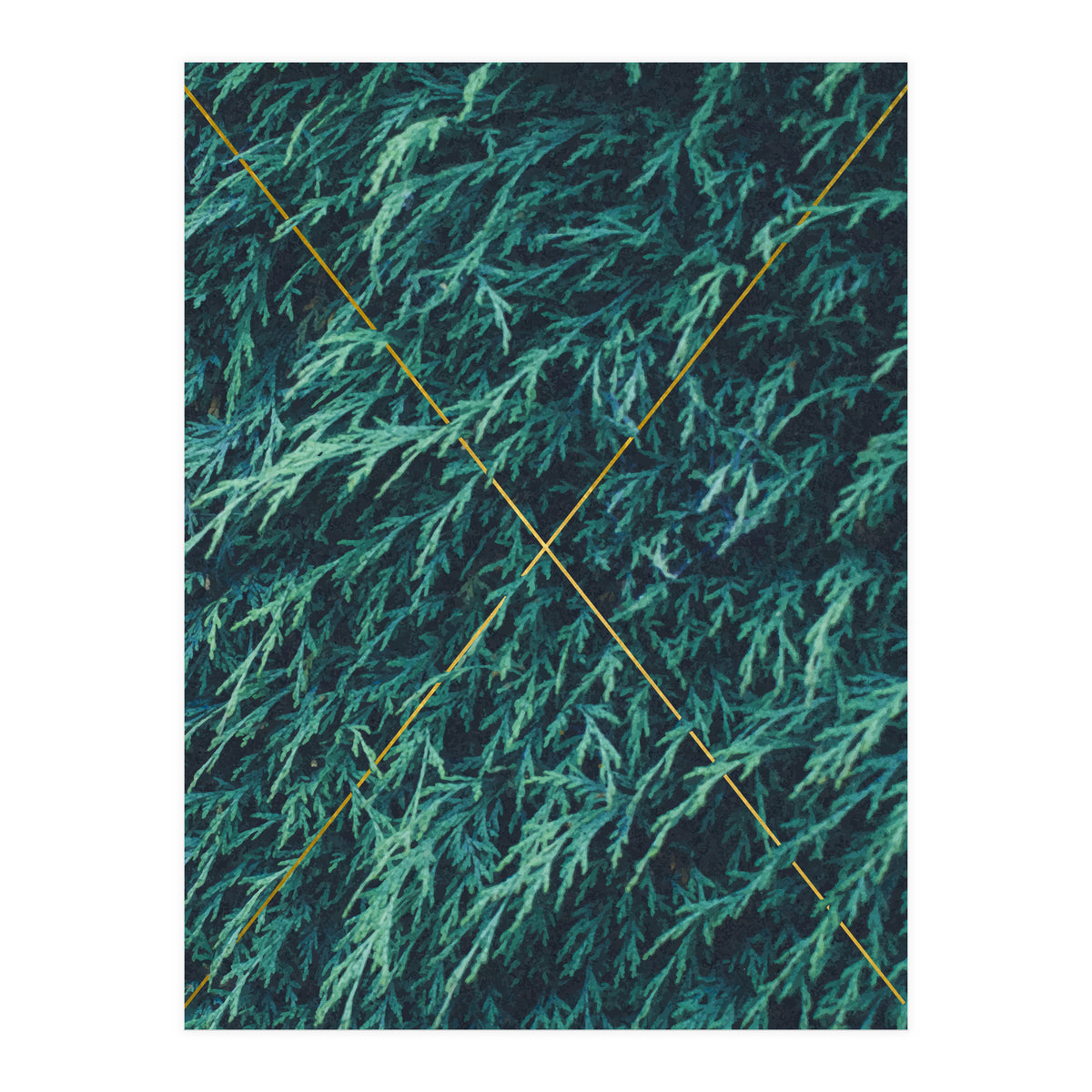 Restricted Reality (Print Only)