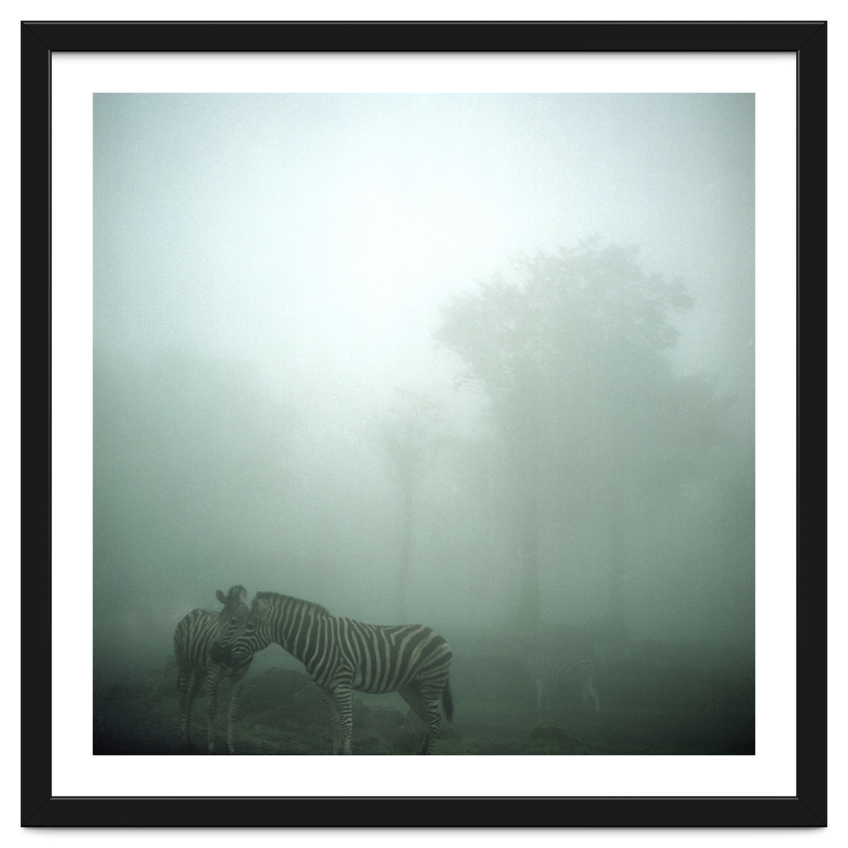 Silence of breath - 15