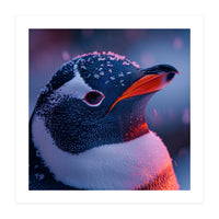 Close Up Penguin With Snowflakes On Head (Print Only)