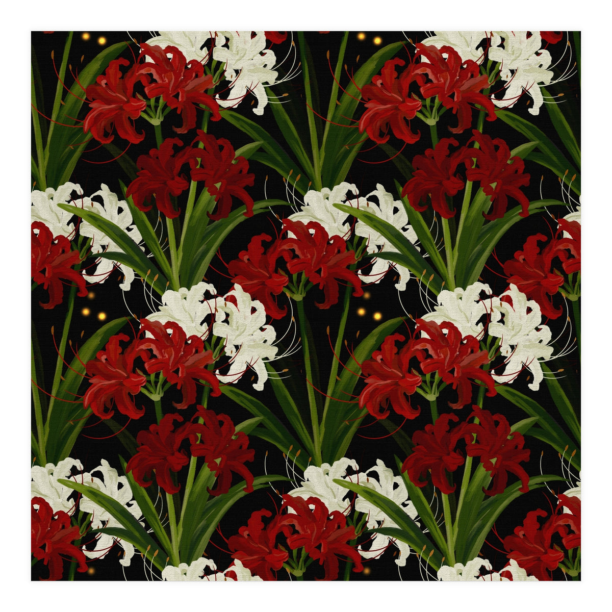 Red and White Spider Lily Flower Print Elegant Botanical Japanese Inspired Floral Artwork (Print Only)