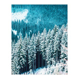 Rainforest #society6 #decor #buyart (Print Only) thumbnail
