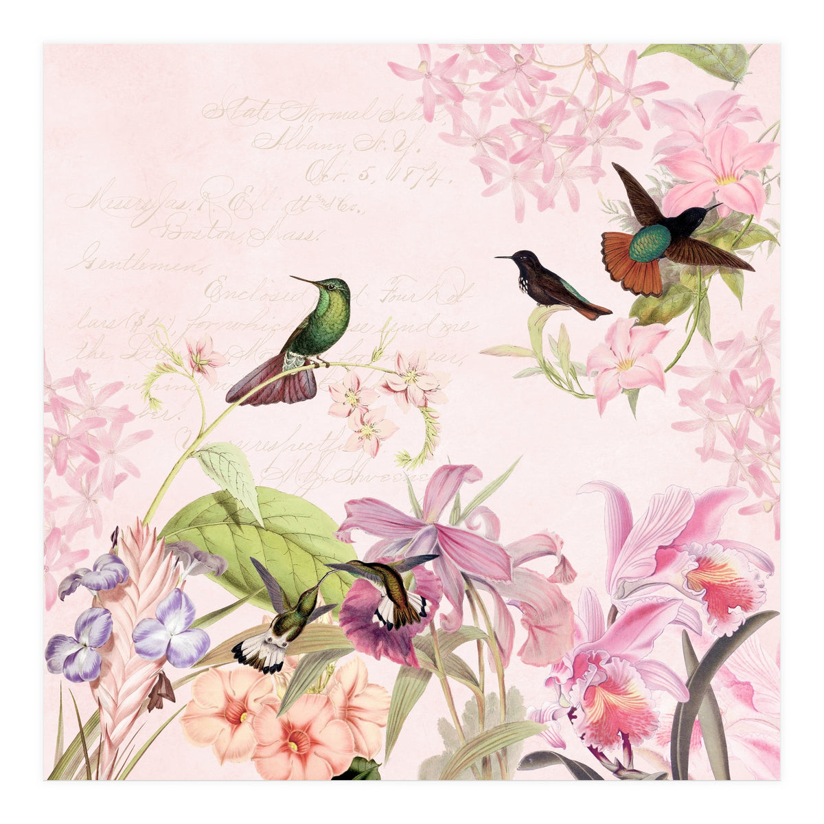 Hummingbirds in Flower Jungle  (Print Only)