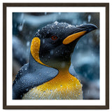 King Penguin Close Up In The Rain thumbnail