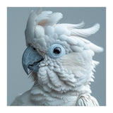 White Cockatoo Bird Portrait Close Up (Print Only) thumbnail