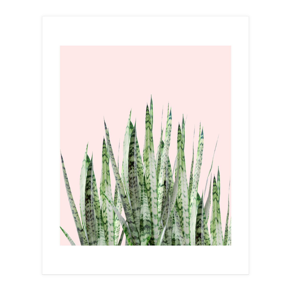 Botanical Balance (Print Only)