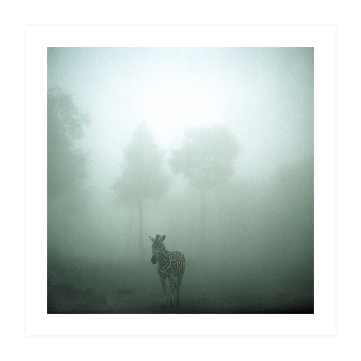 Silence of breath - 01 (Print Only)