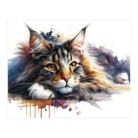 Maine Coon Resting Portrait (Print Only)
